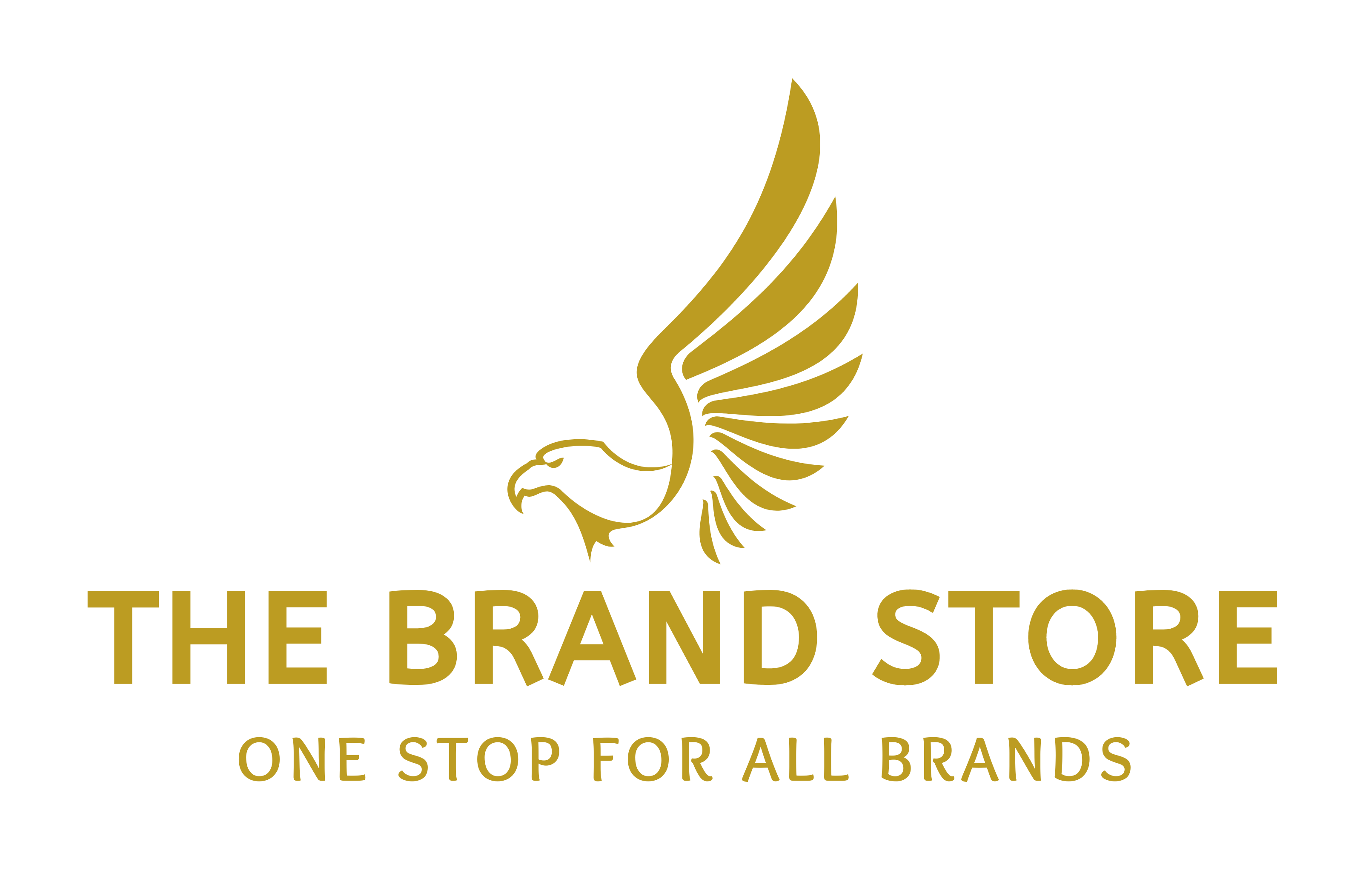 Logo The Brand Store Company Limited